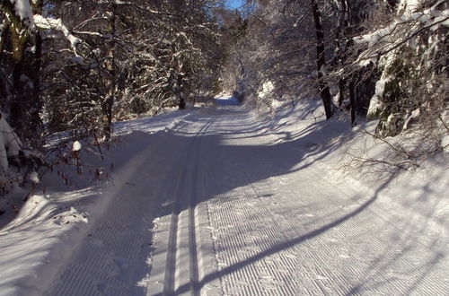 Photo 16 - Holiday Home Near the ski Lift