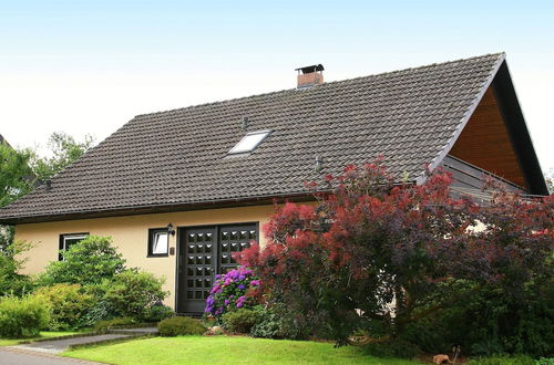 Photo 34 - Holiday Home in Kyllburg Eifel Near the Forest