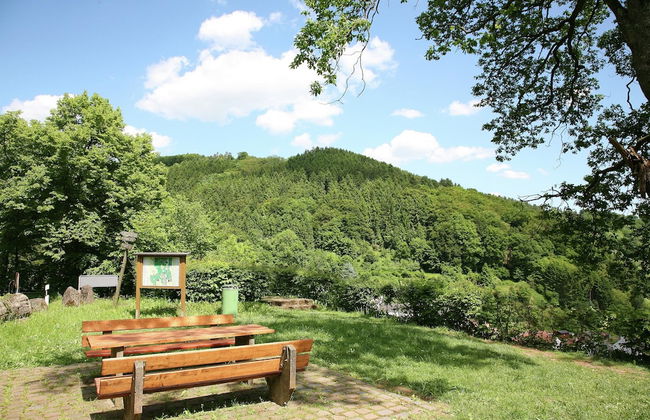 Holiday Home in Kyllburg Eifel Near the Forest - Foto 38