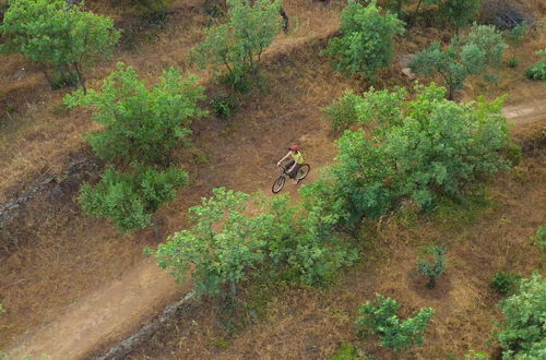 Photo 30 - Green Island Resort Kea