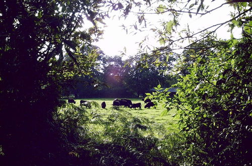 Photo 15 - Apartment in Farm on the Edge of the Luneburg