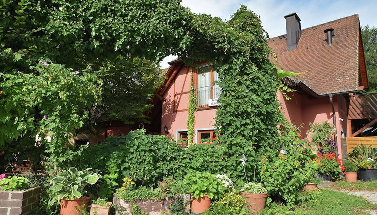 Photo 1 - Countryside Apartment With Garden