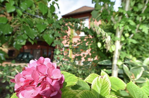 Photo 25 - Countryside Apartment With Garden