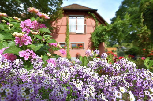 Photo 26 - Countryside Apartment With Garden