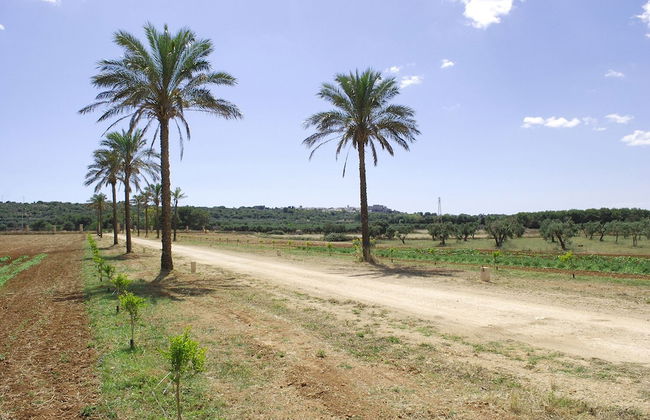 Agriturismo Masseria Galatea - Foto 8
