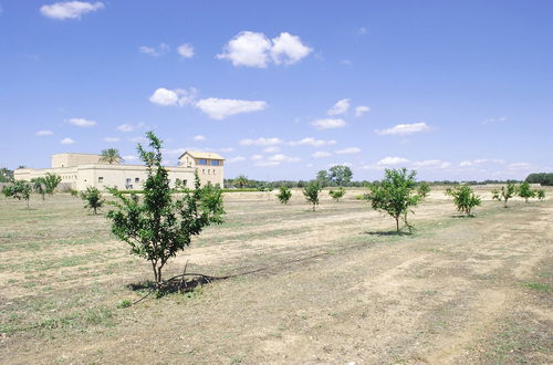 Foto 47 - Agriturismo Masseria Galatea