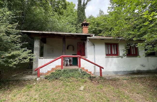 Vintage Vacation Home - Foto 36