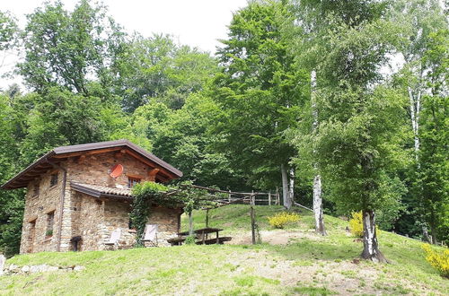 Foto 4 - Agriturismo L'Arbo