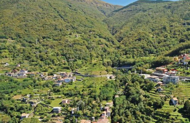 Riva Bellano Orchidea 3 - Foto 52