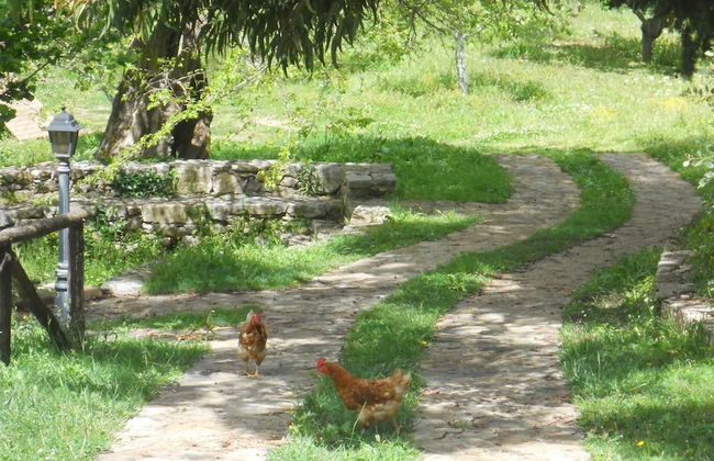 l'antico casale - Foto 18