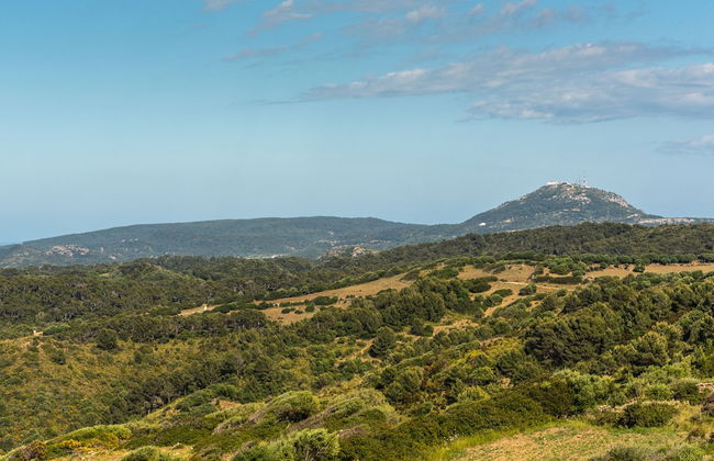 Finca Son Pere - Foto 24