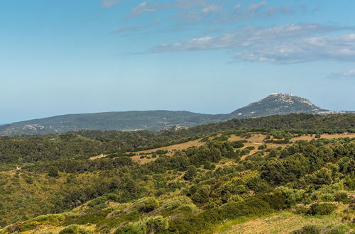 Photo 28 - Finca Son Pere