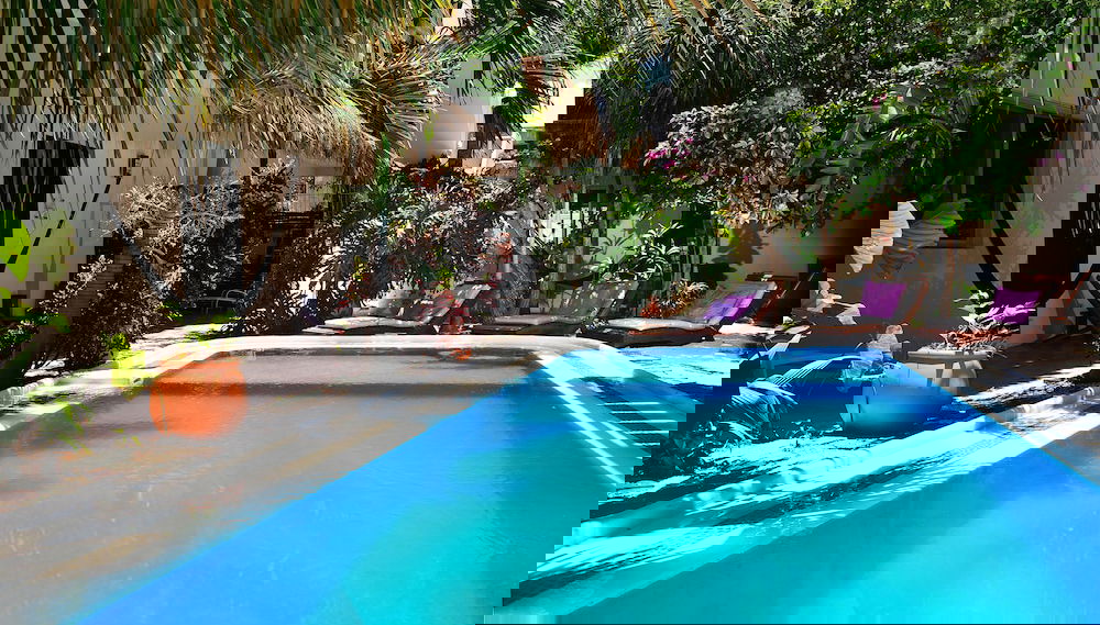 Primary image