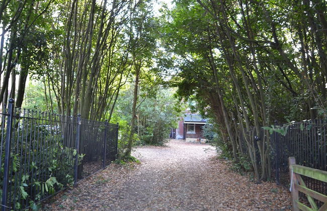 Yew Tree Apartment Two Ryde - Foto 7