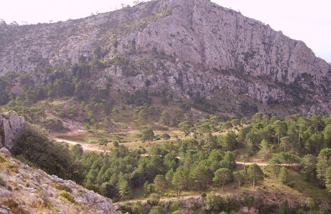 Ca Les Barberes - Foto 22