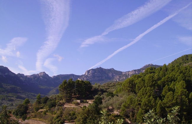 Ca Les Barberes - Foto 23
