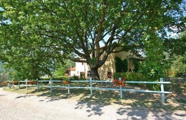 Fattoria i Ciliegi - Foto 76