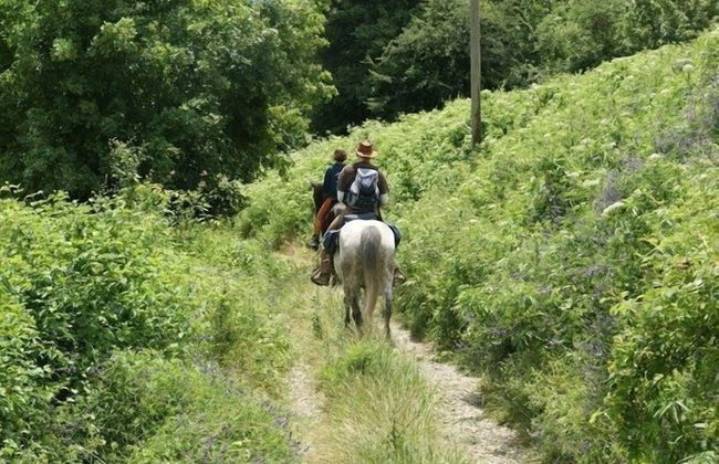 Fattoria i Ciliegi - Foto 74
