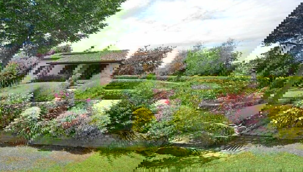 Image principale