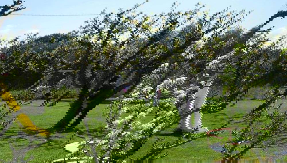 Imagem principal