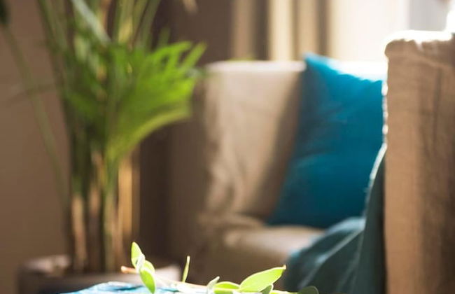 Godó Luxury Apartment Passeig de Gracia - Foto 13