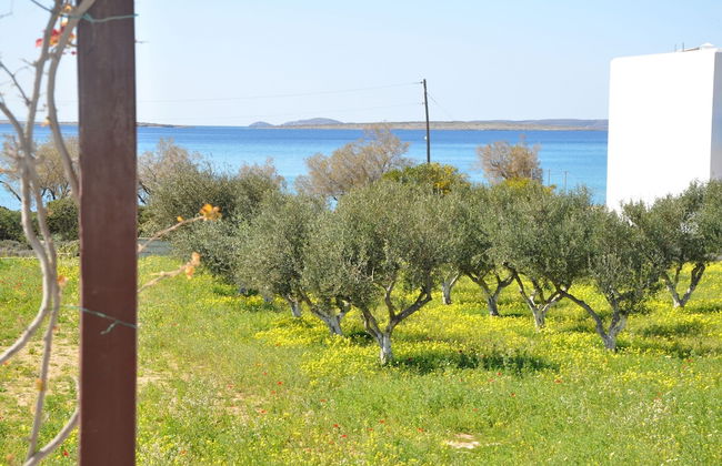 Michalis Apartments near the beaches with sea view - Photo 61