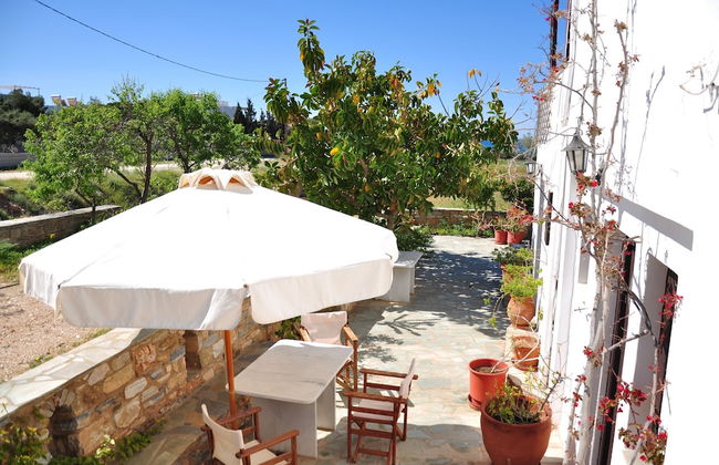 Michalis Apartments near the beaches with sea view - Photo 47
