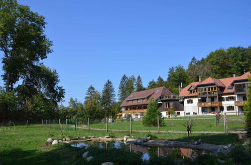 Photo 20 - Apartment in the Black Forest With Balcony