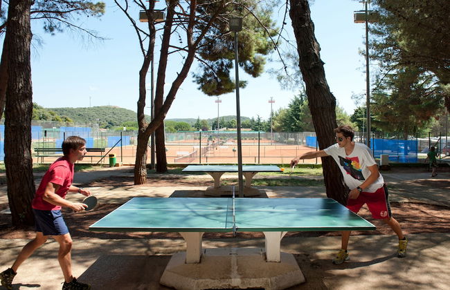 Maistra Camping Porto Sole Mobile homes - Foto 30