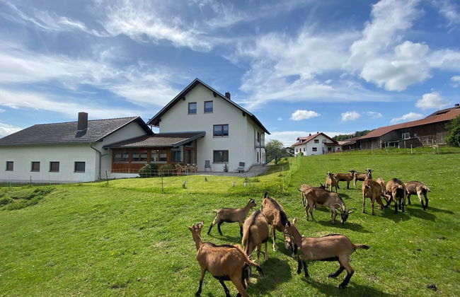 Apartment in Bavaria Near Forest - Foto 35