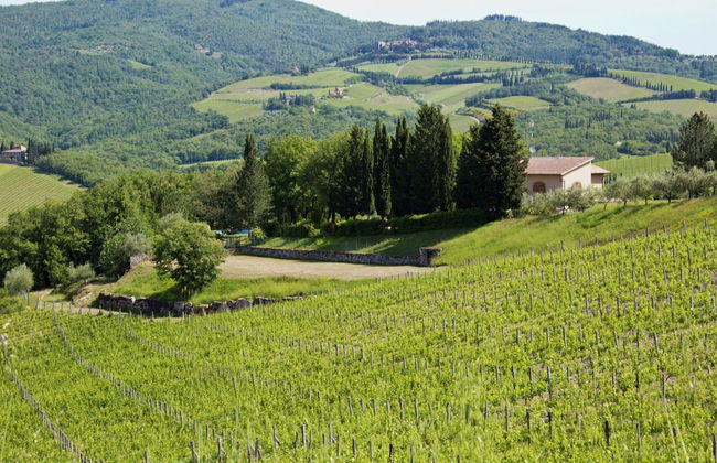 Pretty Farmhouse With Terrace - Foto 37
