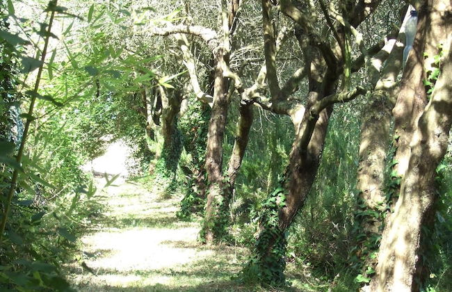 Agriturismo La Casa della Lavanda - Il Casale - Foto 32