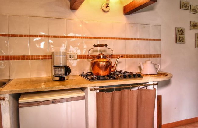 Bellavista farm of Quercini Maurizio - Foto 28