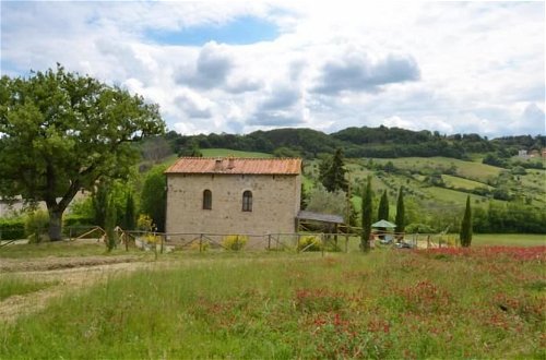 Photo 75 - Bellavista farm of Quercini Maurizio