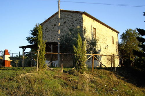 Photo 17 - Bellavista farm of Quercini Maurizio