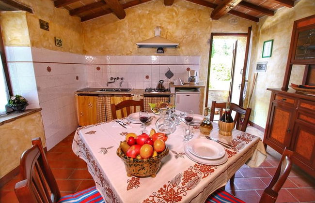 Bellavista farm of Quercini Maurizio - Foto 55