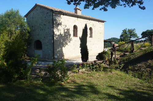 Photo 16 - Bellavista farm of Quercini Maurizio