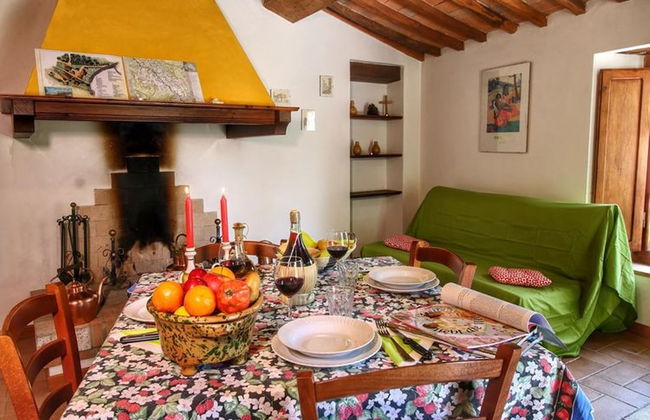 Bellavista farm of Quercini Maurizio - Foto 44