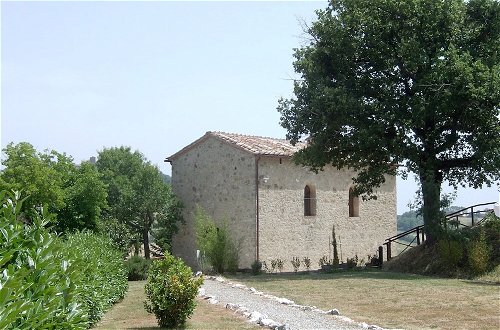 Photo 12 - Bellavista farm of Quercini Maurizio