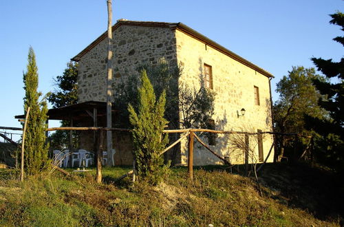 Photo 13 - Bellavista farm of Quercini Maurizio