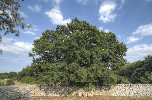 Photo 9 - Trullo Pagliaro Cisternino by Typney