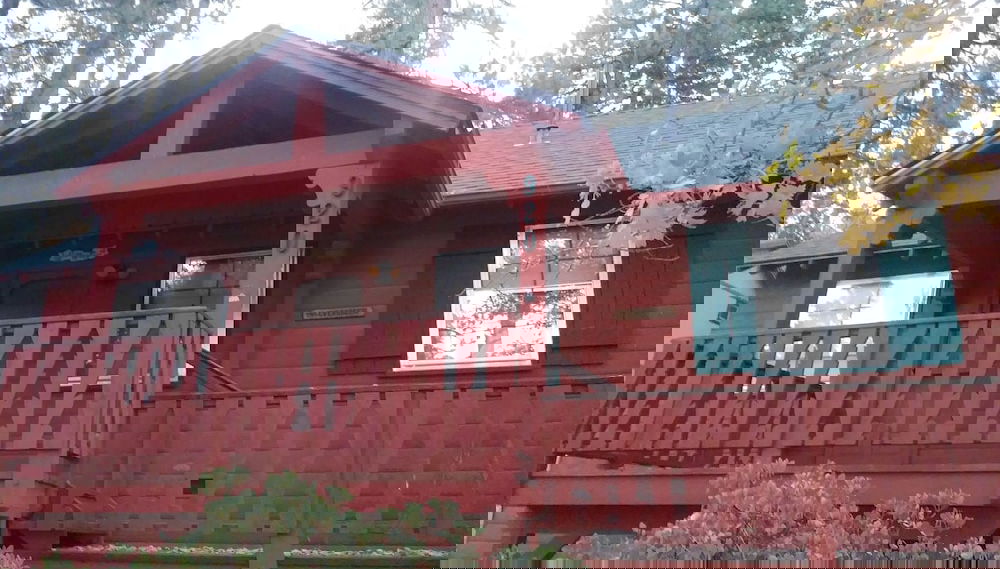 Primary image