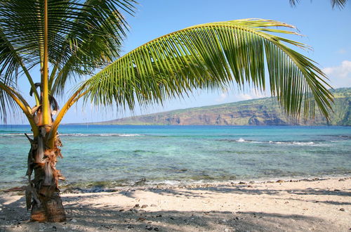 Photo 44 - Waikoloa Beach Villas E32