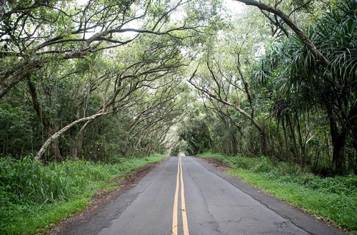 Photo 27 - Waikoloa Beach Villas E32