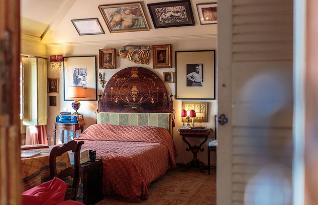 Shepinetree - Pinheira House - Foto 10