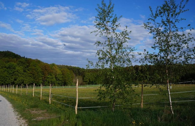 Woodland Escape With Garden - Foto 32