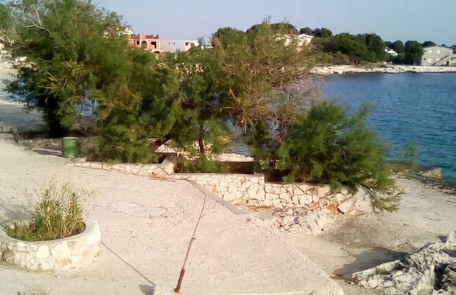 Zoran - A2 Donji - Foto 7