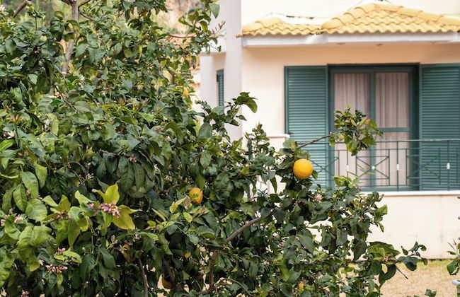 Coralli Hotel - Foto 22