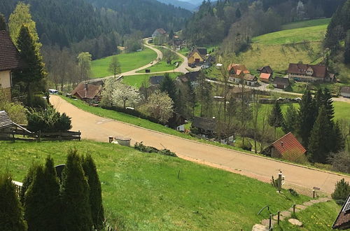 Photo 27 - Holiday Home in the Black Forest With Sauna