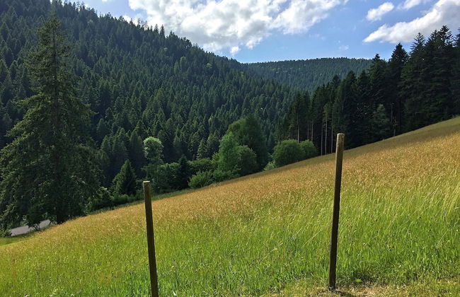 Charmantes, Einladendes Ferienhaus in Toller Natur - Foto 24